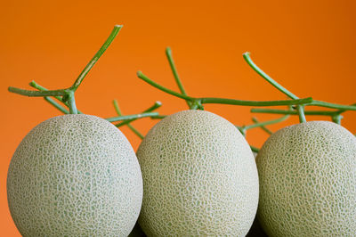 Close-up of oranges