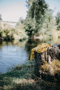 Close-up of leaf on field by lake against sky