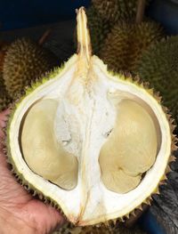 Close-up of hand holding fruit