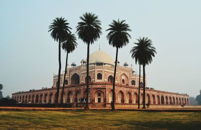 Palm trees against facade of humayuns tomb