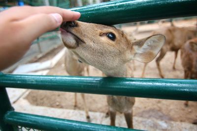 Close-up of hand eating outdoors