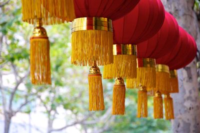 Low angle view of lanterns hanging on tree