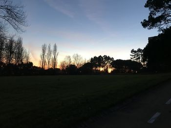 Silhouette trees on field against sky at sunset