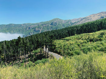 Scenic view of landscape against clear blue sky