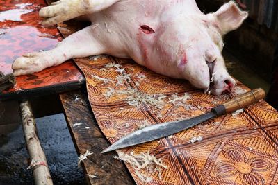 Close-up of head pig dead