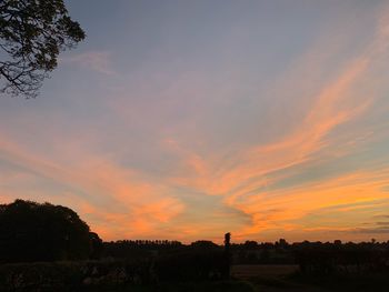 Silhouette trees on field against sky at sunset