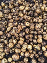 Potatoes harvested from farmers that have not been weighed and packed.