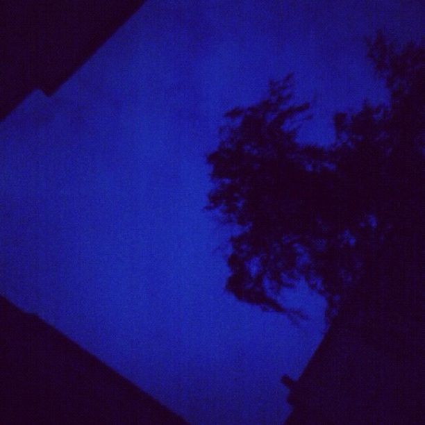 blue, low angle view, tree, tranquility, night, sky, silhouette, nature, beauty in nature, tranquil scene, scenics, dusk, no people, outdoors, clear sky, idyllic, copy space, star - space, auto post production filter