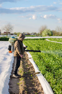 A farmer sprays a potato plantation against pests and fungi. protection of cultivated plants