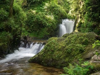 Scenic view of waterfall