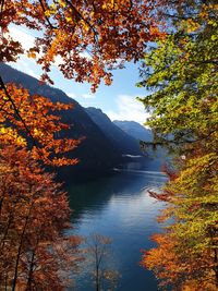 Scenic view of lake by trees against orange sky