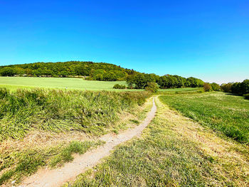 Scenic view of field against clear blue sky