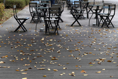 Chairs and table on street during autumn