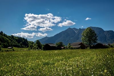 Scenic view of field and mountains against sky