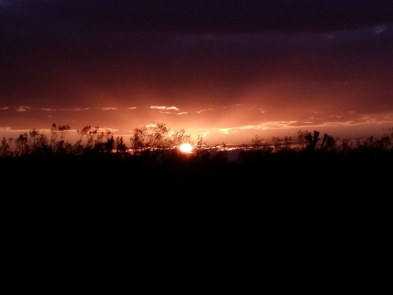 sunset, silhouette, tranquil scene, scenics, tranquility, beauty in nature, sky, tree, orange color, sun, nature, idyllic, landscape, cloud - sky, dark, sunlight, cloud, outdoors, dramatic sky, no people