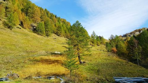 Alpe veglia trekking day italy