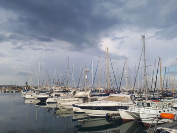 Sailboats moored in harbor