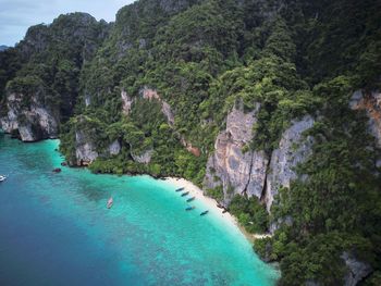 Scenic view of sea against trees