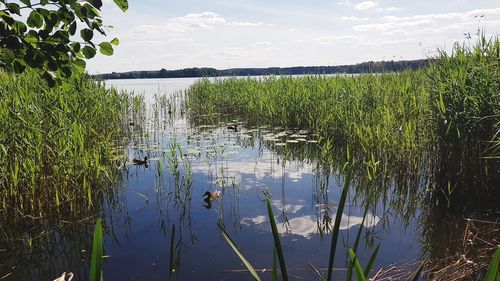 Scenic view of lake against sky