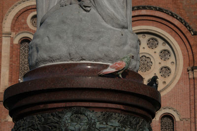 Low angle view of bird perching on statue