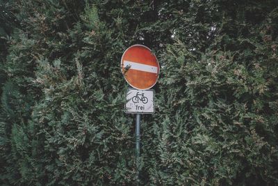 Information sign against trees