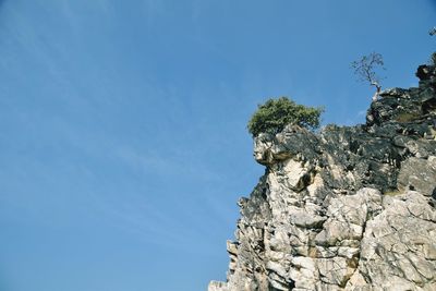 Low angle view of trees against clear blue sky