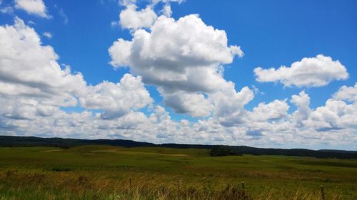 Scenic view of agricultural field against sky