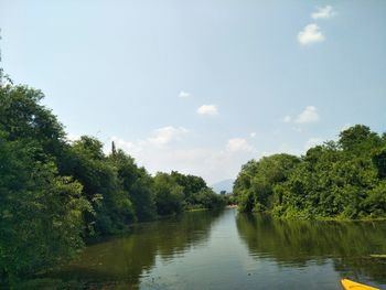 Scenic view of lake in forest against sky