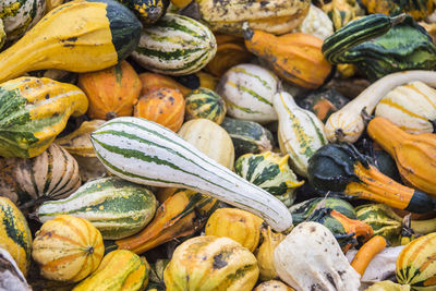 Full frame shot of pumpkins