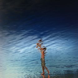 Reflection of trees in water