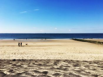 Scenic view of beach against blue sky