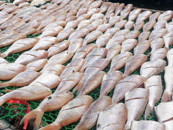 Full frame shot of fish for sale in market