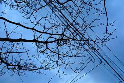 Low angle view of silhouette bare tree against clear blue sky