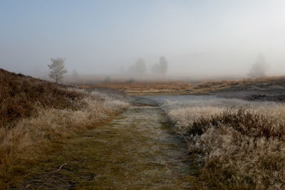Scenic view of field against sky during foggy weather