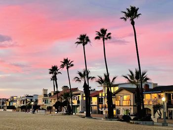 Palm trees on beach against sky during sunset