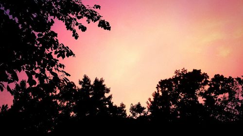 Low angle view of silhouette trees against sky at sunset