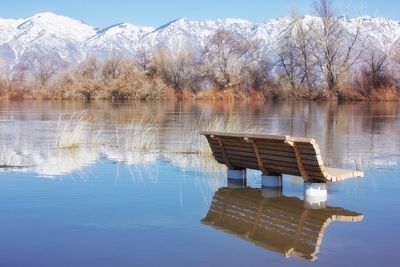 Scenic view of lake by trees