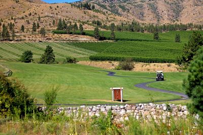 Scenic view of rural landscape
