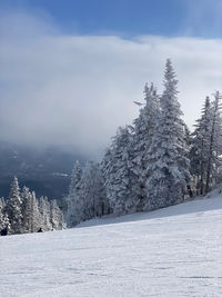 Ski mont tremblant 