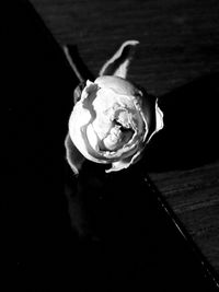 Close-up of human hand