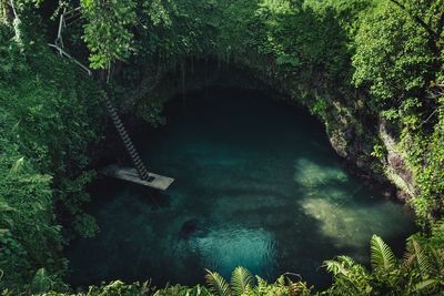 High angle view of bridge over river in forest