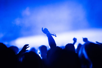 Crowd at music concert