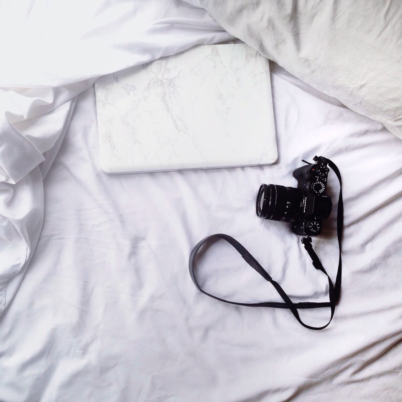 indoors, high angle view, close-up, bed, black color, insect, fabric, still life, one animal, jewelry, sheet, table, animal themes, fashion, white color, part of, necklace