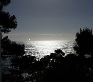 Scenic view of silhouette trees against sky