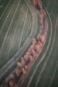 High angle view of agricultural field