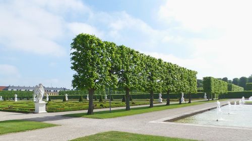 Trees in park against sky