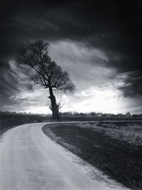 Empty road with trees in background