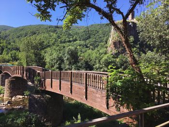 Bridge in forest against sky