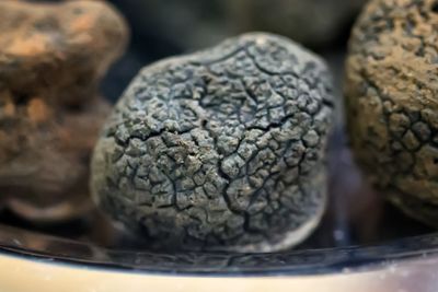 Close-up of black truffle on table