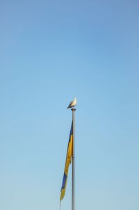 Low angle view of crane against clear blue sky